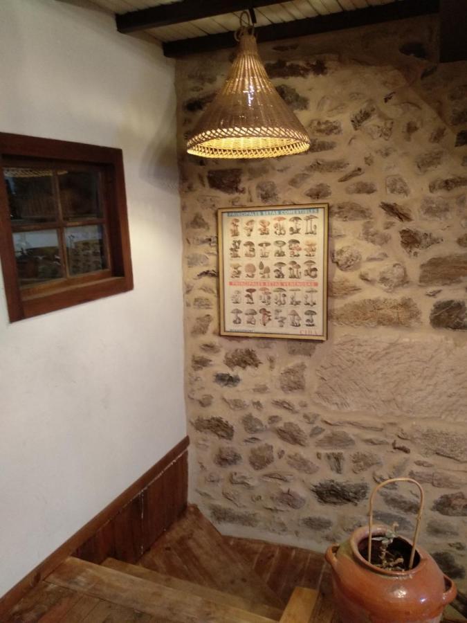 Casa Ribeira Sacra, Ourense, Ninodaguia, Galicia Eksteriør bilde